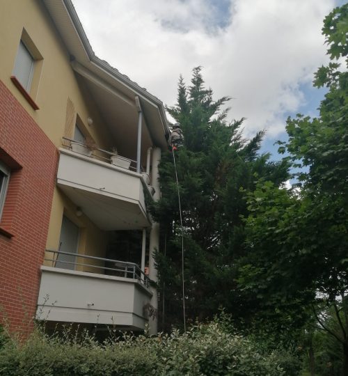 raccordement ou remplacement de descentes pluviales