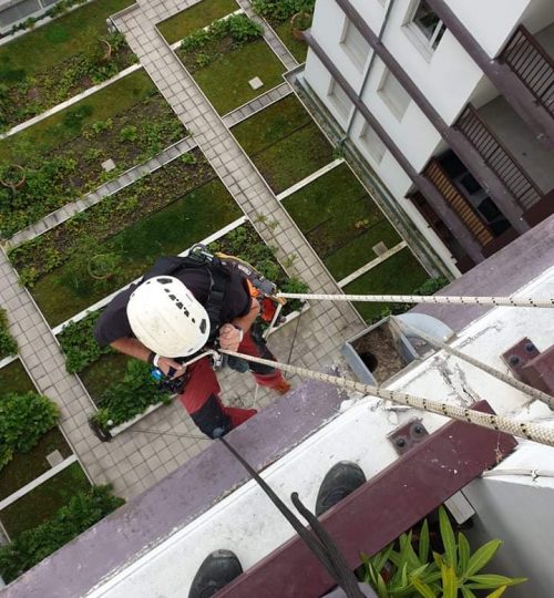 Traitements fissures et dilatation façade